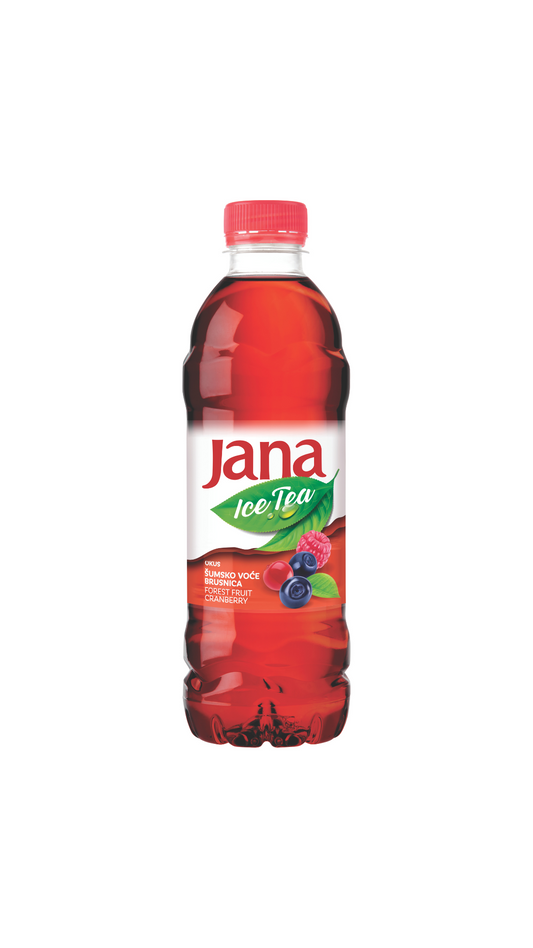 Jana Ice Tea - Waldfrucht (6 x 0,5l)